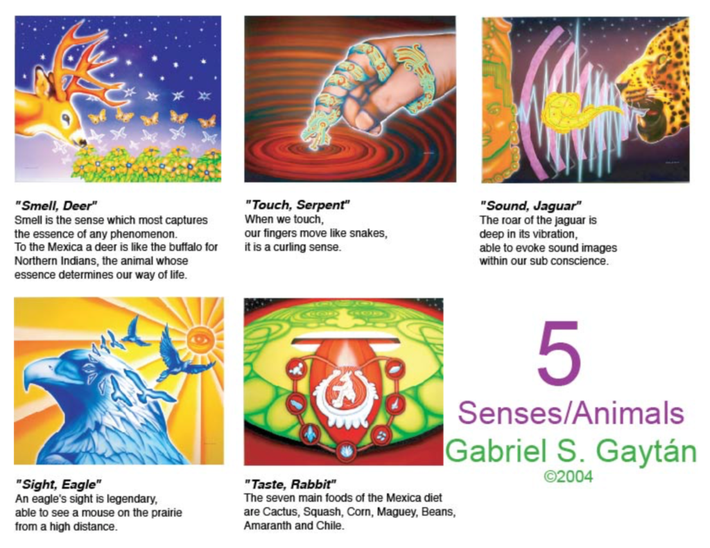 5 Senses Series